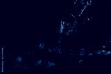 preview cold