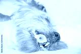 preview cold