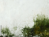 preview original