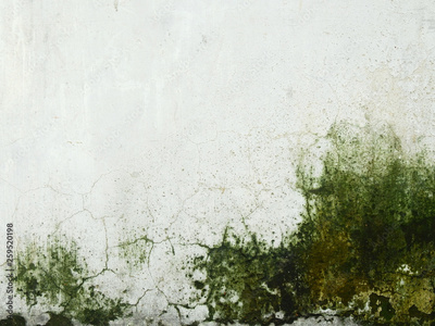image to crop