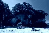 preview cold