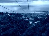 preview cold