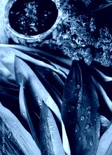 preview cold
