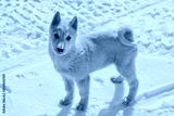 preview cold