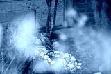 preview cold