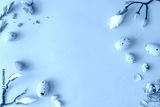 preview cold