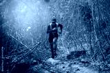 preview cold