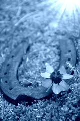 preview cold