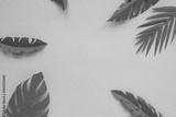 preview bw
