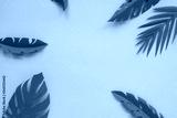 preview cold