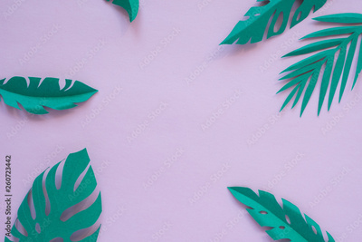 image to crop