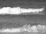 preview bw