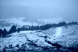 preview cold
