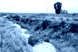 preview cold