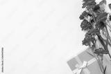 preview bw