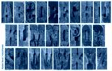 preview cold