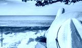 preview cold