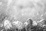 preview bw