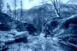 preview cold