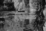 preview bw