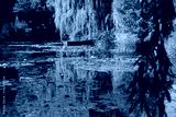 preview cold