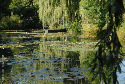 image to crop