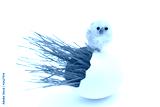 preview cold