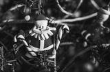 preview bw