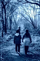 preview cold