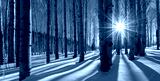 preview cold