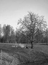 preview bw