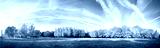 preview cold
