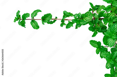 image to crop