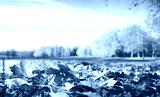 preview cold
