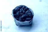 preview cold