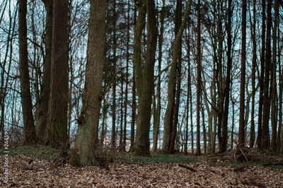 image to crop