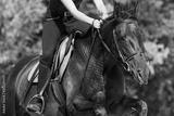 preview bw