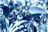 preview cold