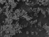 preview bw