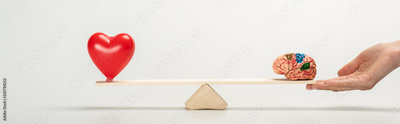 image to crop