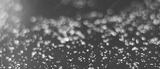 preview bw