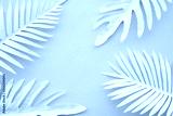 preview cold