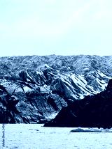preview cold