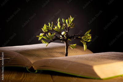 image to crop