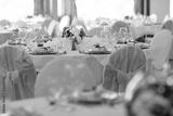 preview bw
