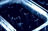 preview cold