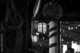 preview bw