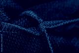 preview cold