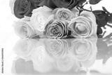preview bw