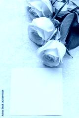preview cold